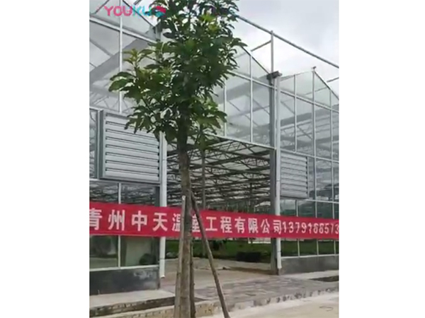 青州中天溫室工程有限公司玻璃溫室建造完成